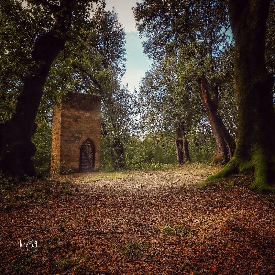 Platea Cavour Villa Sutri Buitenkant foto